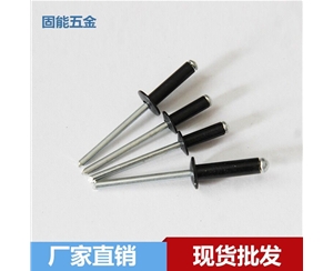 黑色烤漆鉚釘